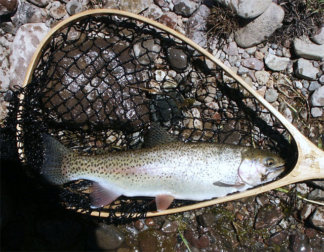 /i/Brazos/11_June_07_Rainbow_copy.jpg