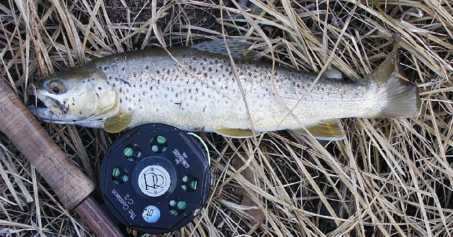 /i/Fishing/JanO5Bit_BiggerPecosBrownieweb.JPG